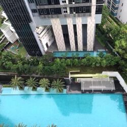 The Laurels (D9), Condominium #637350651